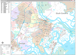 Savannah Wall Map Premium Style 2026