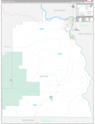 Asotin County, WA Wall Map Premium Style 2024