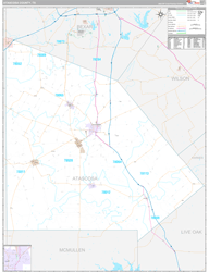 Atascosa County, TX Wall Map Premium Style 2024
