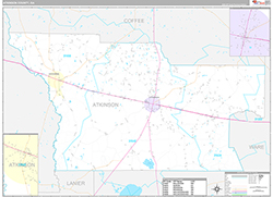 Atkinson County Wall Map Premium Style 2026
