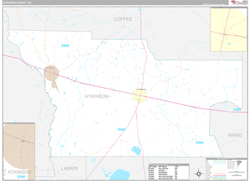Atkinson County, GA Wall Map Premium Style 2024