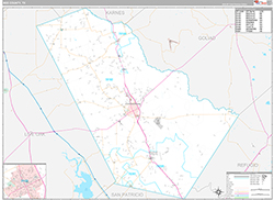 Bee County Wall Map Premium Style 2026