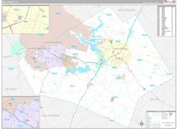 Bell County, TX Wall Map Premium Style 2024