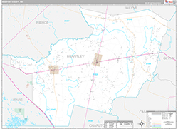 Brantley County Wall Map Premium Style 2026