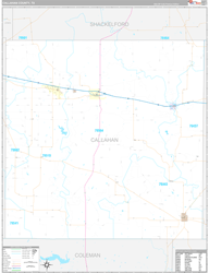 Callahan County, TX Wall Map Premium Style 2024