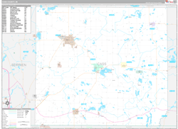 Cass County, MI Wall Map Premium Style 2024
