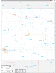 Cedar County, IA Wall Map Premium Style 2024