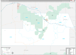 Cibola County, NM Wall Map Premium Style 2024