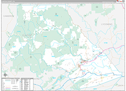 Clinton County Wall Map Premium Style 2026