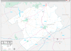 Darlington County, SC Wall Map Premium Style 2024