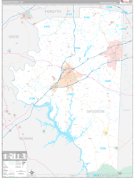 Davidson County, NC Wall Map Premium Style 2024
