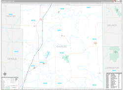 Daviess County, MO Wall Map Premium Style 2024