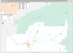 Delta County, CO Wall Map Premium Style 2024