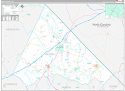 Dillon County Wall Map Premium Style 2026