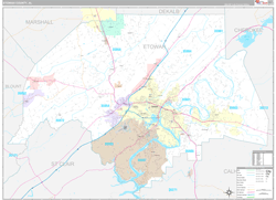 Etowah County, AL Wall Map Premium Style 2024