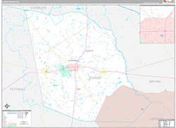 Evans County Wall Map Premium Style 2026