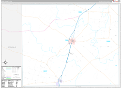 Frio County, TX Wall Map Premium Style 2024