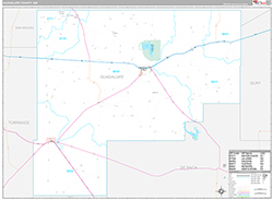 Guadalupe County Wall Map Premium Style 2026