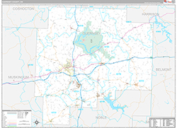 Guernsey County Wall Map Premium Style 2026