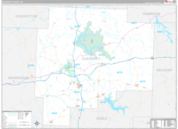 Guernsey County, OH Wall Map Premium Style 2024