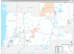 Hernando County, FL Wall Map Premium Style 2023