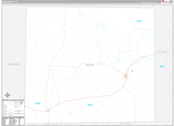 Irion County, TX Wall Map Premium Style 2024