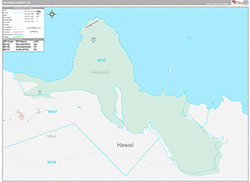 Kalawao County Wall Map Premium Style 2026