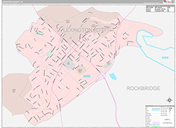 Lexington County, VA Wall Map Premium Style 2026