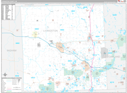 Livingston County, MI Wall Map Premium Style 2024