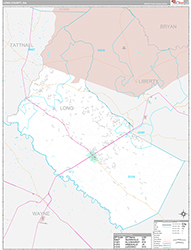 Long County Wall Map Premium Style 2026