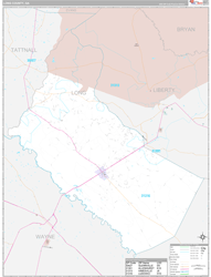 Long County, GA Wall Map Premium Style 2024
