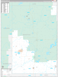 Newaygo County, MI Wall Map Premium Style 2024