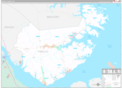 Pamlico County, NC Wall Map Premium Style 2024
