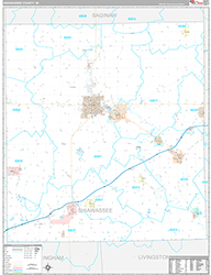 Shiawassee County Wall Map Premium Style 2026