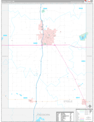 Steele County, MN Wall Map Premium Style 2024