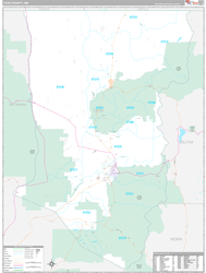 Taos County, NM Wall Map Premium Style 2024