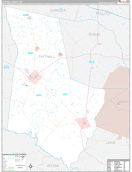 Tattnall County, GA Wall Map Premium Style 2024