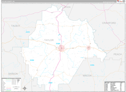Taylor County, GA Wall Map Premium Style 2024