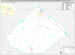 Telfair County, GA Wall Map Premium Style 2024