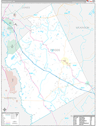 Twiggs County Wall Map Premium Style 2026