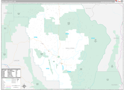 Wallowa County, OR Wall Map Premium Style 2024