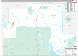 Wayne County Wall Map Premium Style 2026
