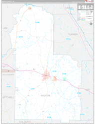 Worth County, GA Wall Map Premium Style 2024