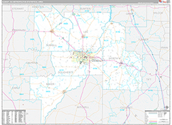 Albany Metro Area Wall Map Premium Style 2026