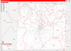 Randolph County, NC Wall Map Zip Code Red Line Style 2026