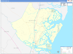 McIntosh County, GA Wall Map Basic Style