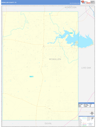 McMullen County, TX Wall Map Basic Style