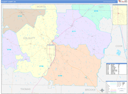 Colquitt County, GA Wall Map Color Cast Style