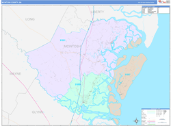 McIntosh County, GA Wall Map Color Cast Style