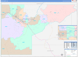 Mesa County, CO Wall Map Color Cast Style